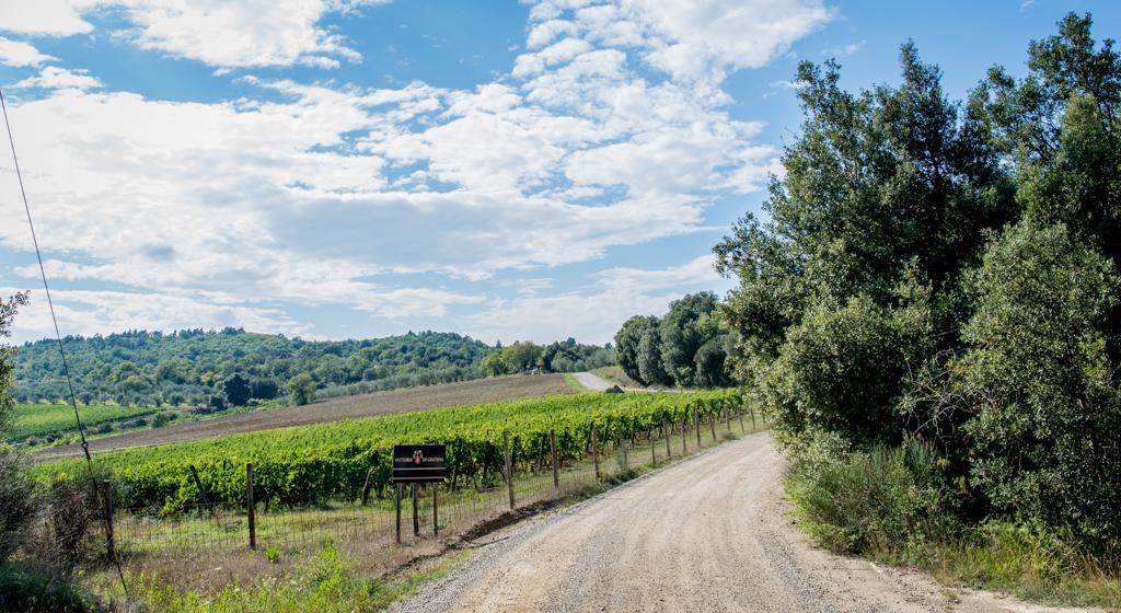 Agriturismo Fattoria Di Gratena Ареццо Экстерьер фото
