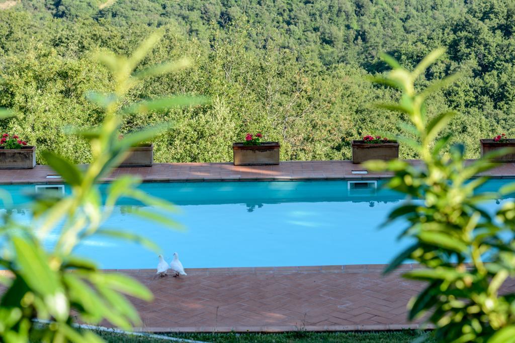 Agriturismo Fattoria Di Gratena Ареццо Экстерьер фото