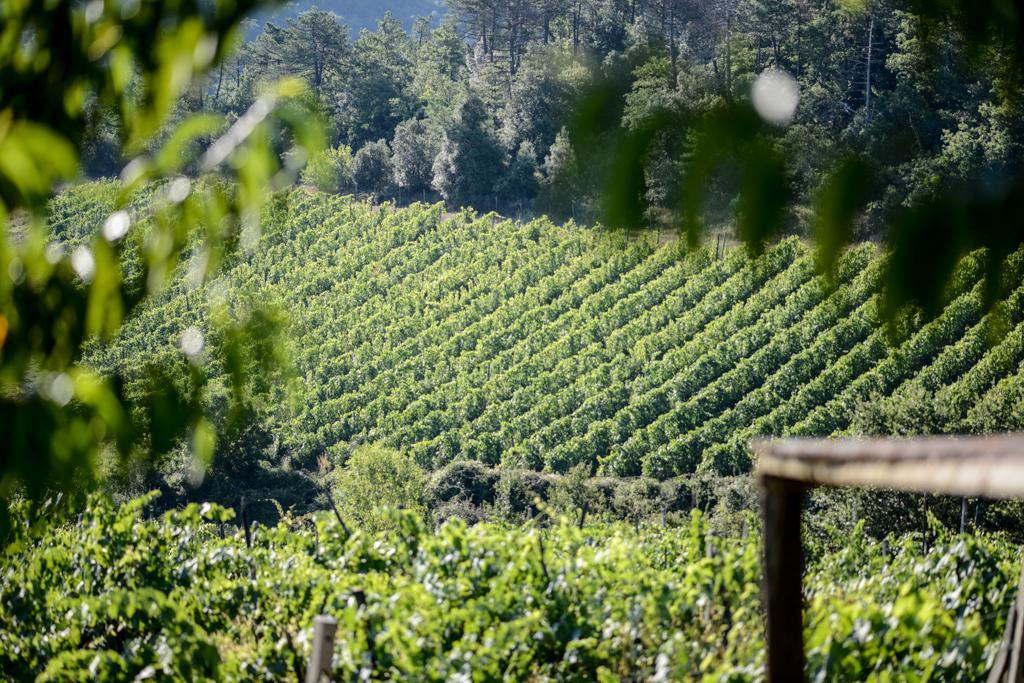 Agriturismo Fattoria Di Gratena Ареццо Экстерьер фото