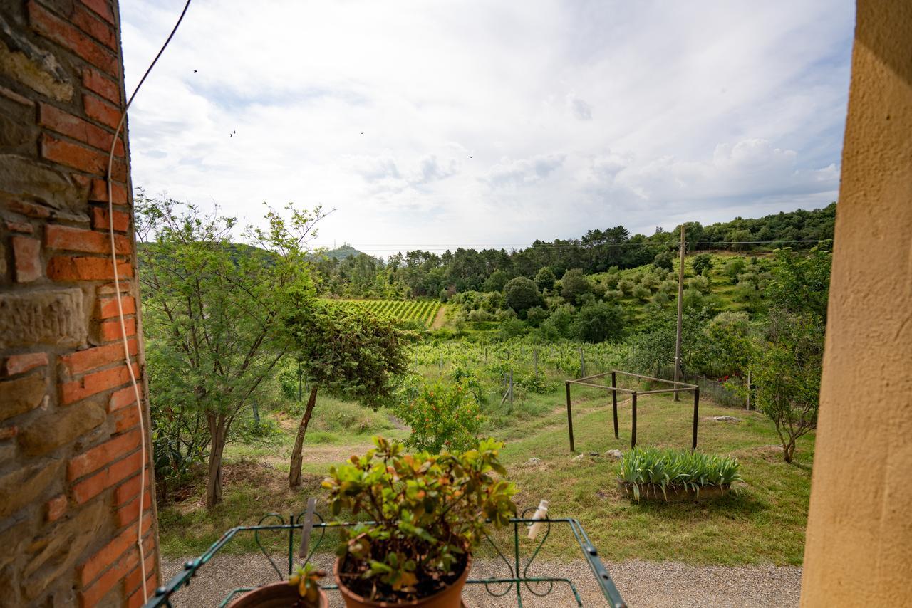 Agriturismo Fattoria Di Gratena Ареццо Экстерьер фото