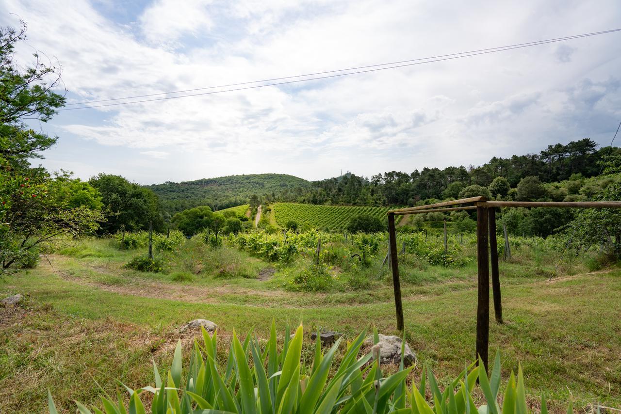 Agriturismo Fattoria Di Gratena Ареццо Экстерьер фото