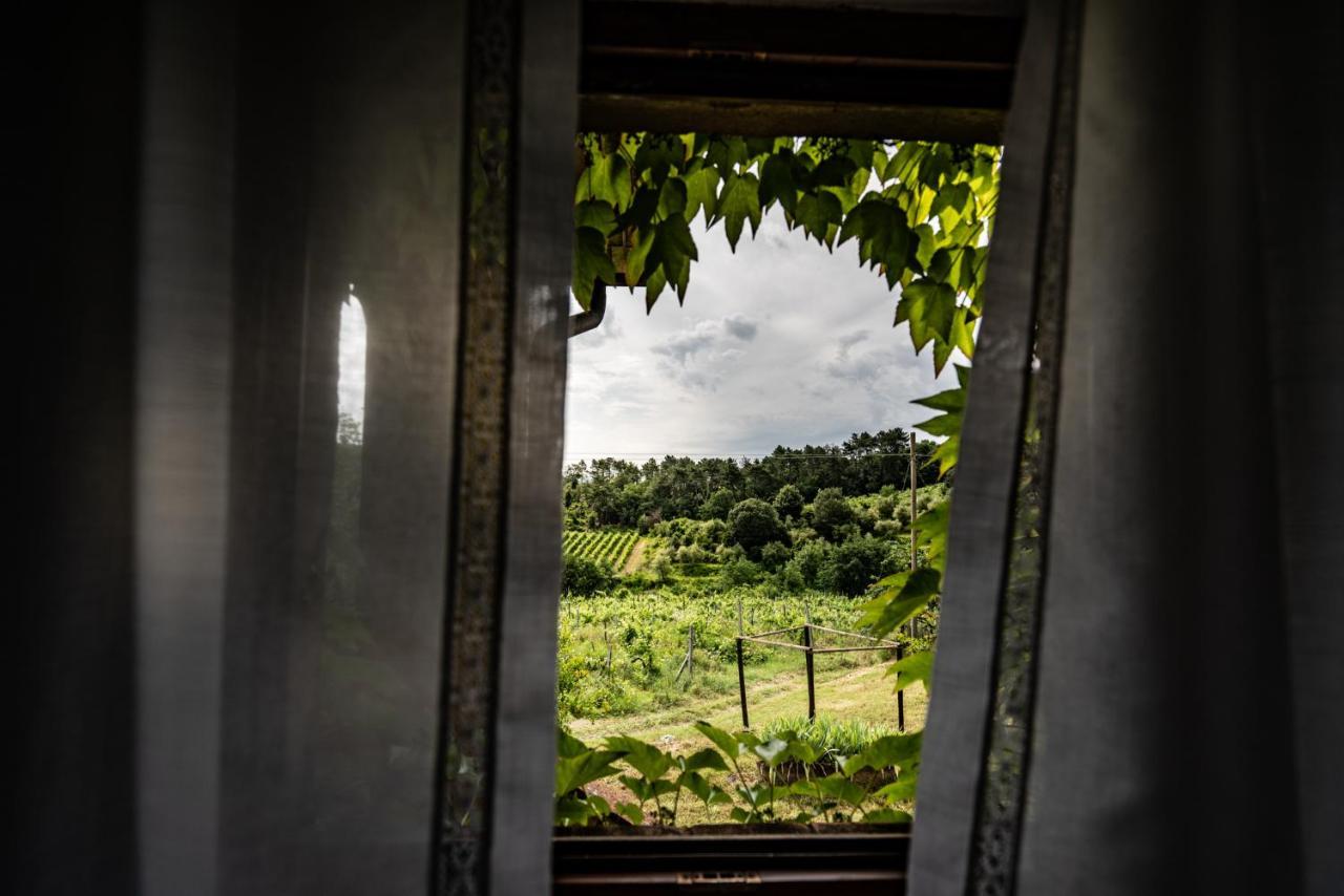 Agriturismo Fattoria Di Gratena Ареццо Экстерьер фото