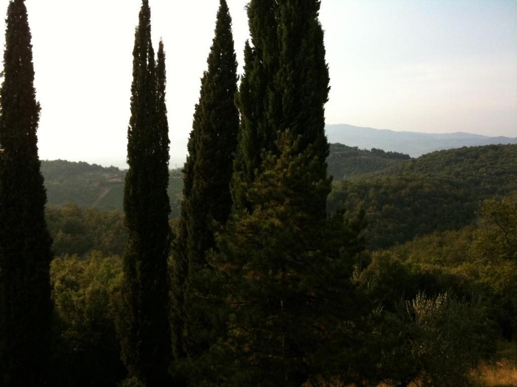 Agriturismo Fattoria Di Gratena Ареццо Экстерьер фото